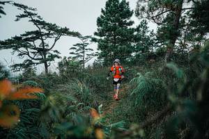 BIB: 
                            <button type="button" onclick="openModal(25260461)" class="btn btn-primary btn-sm float-right btn-popup" data-toggle="modal" data-target=".modal-high-quality">
                        <i class="fas fa-shopping-cart"></i> Add to Cart
                    </button>
                                            <button type="button" onclick="isThisMe(25260461, true)" class="btn btn-success btn-sm float-right btn-popup btn-isme hidden" data-toggle="tooltip" data-placement="bottom" title="นี่คือรูปของคุณใช่ไหม คลิกที่นี่เพื่อเอาเข้าอัลบั้ม">
                        <i class="fas fa-plus"></i> Add to album
                    </button>
                    <button type="button" onclick="isThisMe(25260461, false)" class="btn btn-warning btn-sm float-right btn-popup btn-isnotme hidden">
                        <i class="fas fa-ban"></i> Remove from album
                    </button>